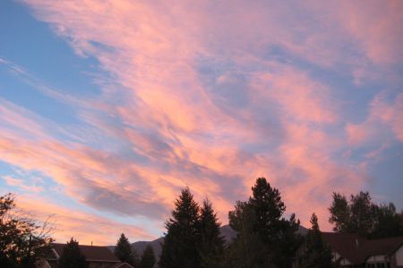 IMG_6362.JPG